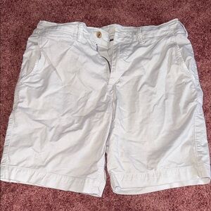 American Eagle Outfitters Men's Light Gray Shorts